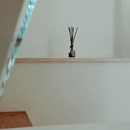 - Torricini View Urbino